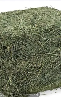 یونجه خشک
