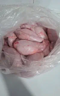 دنبلان و خوش گوشت وجگر سفید گوسفندی