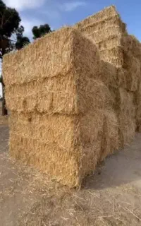 کاه گندم پرس دارم
