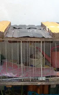قفس پرنده