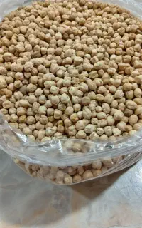 نخود
