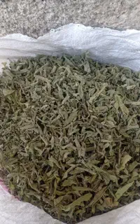 پونه درجه یک گوراب