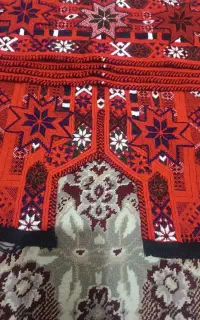 زی گفتان نو