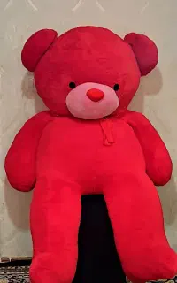 خرس ولنتاین
