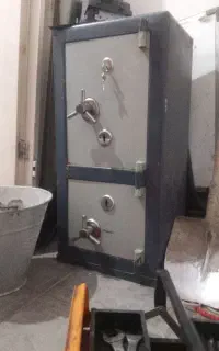 گاو صندوق