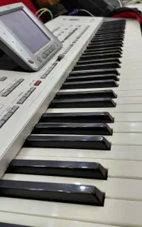 ارگ  pa 2xpro کورگ کیبورد