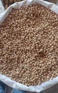 فروش ( خریدار نخود و عدس هستم )