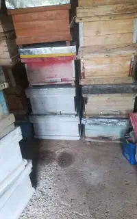 کندو خالی زنبور