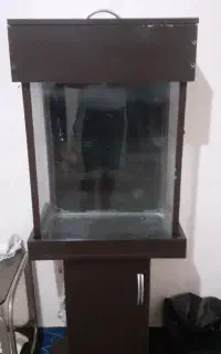اکواریوم کمدی سالم