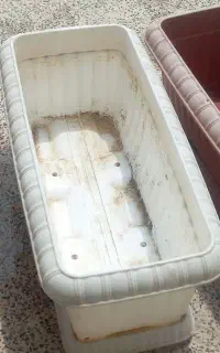 سه عددگلدان