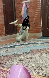 عروس هلندی مولد