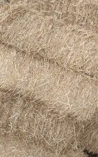 پرس سفال گندم و پرس یونجه