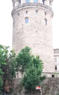 استخدام نیروی کاری