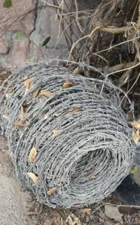 سیم خاردار
