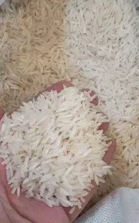 برنج پاکستانی