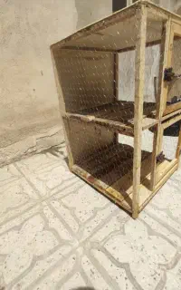 قفس