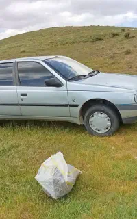 پژو ۴۰۵