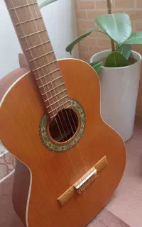 گیتار پارسی m5