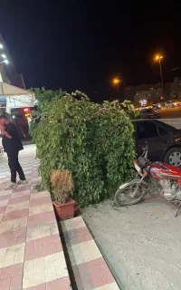 همکار در فست و فودی