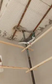 پنج عدد کبوتر سینه باز دم سفید طوقی