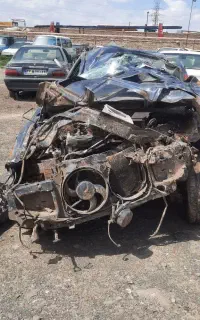 دنا معمولی چپی