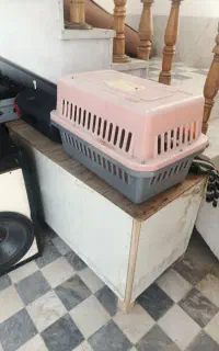 باکس و کلبه سگ