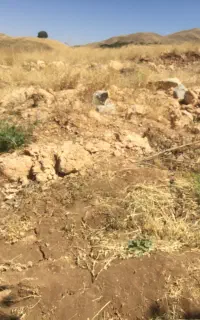 سنگ زیربنا رایگان