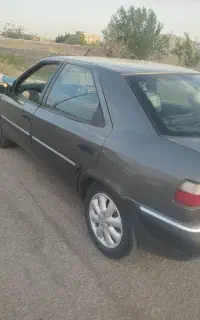 زانتیا نوک مدادی