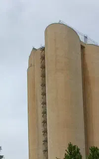 استخدام خانم