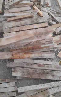چوب نراد