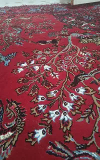 قالی‌12متری