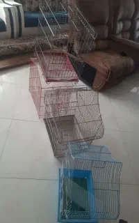 قفس پرنده