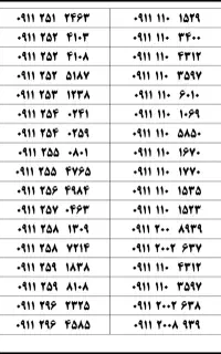 ۰۹۱۱-۹۱۹-۴۴۶۲