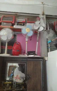 پانکه زمینی