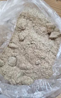 گز علفی