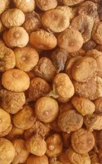 انجیر خشک باغی سمنان