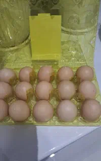 تخم مرغ محلی