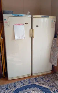 یخچال دوقلو ارج