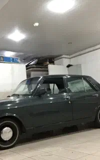 پیکان یشمی کلکسیونی ۸۳ رنگ فابریک