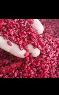 خریدار و فروش زرشک