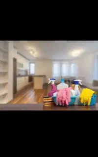 خانم جهت نظافت و اشپزی