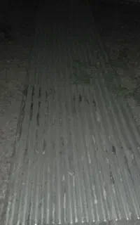 حلب درجه یک