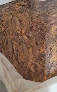 فروش تنباکو
