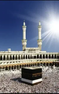 فیش حج واجب