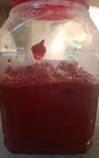 رب تازه و خوش رنگ