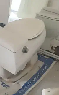 توالت فرنگی