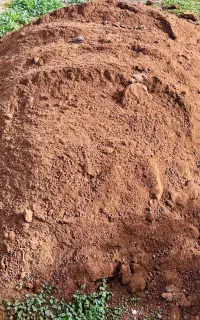 کود حیوانی گوسفندی پوسیده