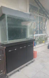 آکواریوم بزرگ