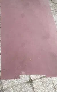 موکت پالاز