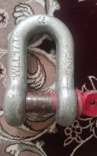 شگل